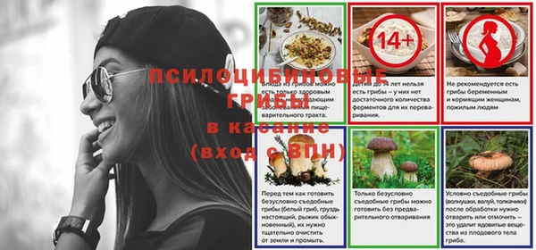 винт Арсеньев