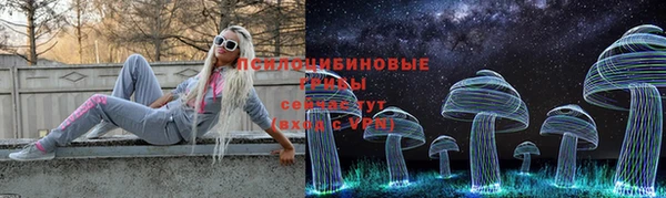 мет Аркадак